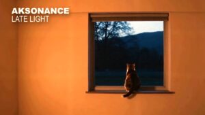 Late Light